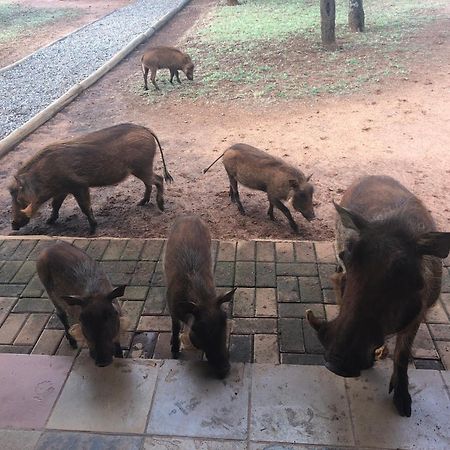 Makhato Bush Lodge 111 Bela-Bela Eksteriør billede
