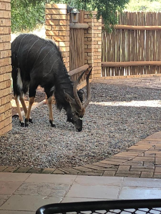 Makhato Bush Lodge 111 Bela-Bela Eksteriør billede